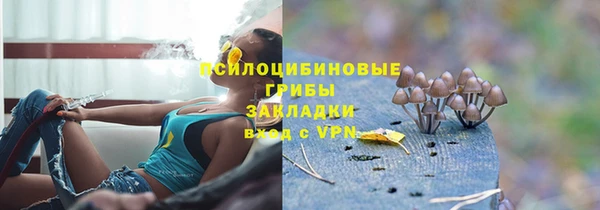 дурь Алексеевка