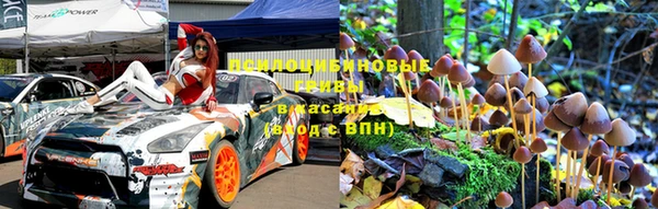 дурь Алексеевка