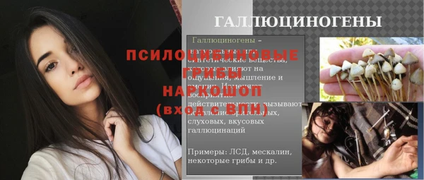 дурь Алексеевка