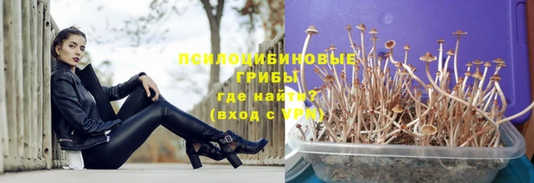дурь Алексеевка